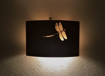 Wall lamp. Dragonfly